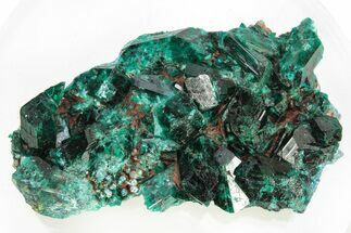 Lustrous Dioptase Crystals on Plancheite - Republic of the Congo #266274