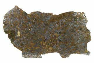 Polished El Eglab Mesosiderite Meteorite ( g) Slice #266390