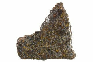 Polished Admire Pallasite Meteorite ( g) Slice - Kansas #266436