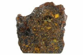 Polished Admire Pallasite Meteorite ( g) Slice - Kansas #266437