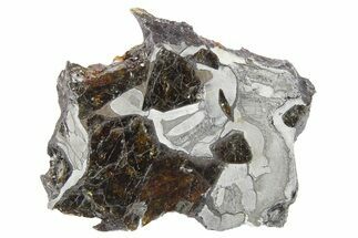 Pallasite Meteorite ( g) Slice - NWA #266443