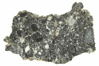 Polished Lunar Meteorite Slice ( g) - Bechar #266500