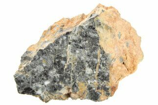 Polished Lunar Meteorite Section ( g) - Bechar #266501