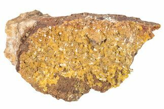 Golden Translucent Mimetite Crystal Cluster - Thailand #266334