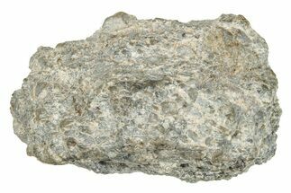 Polished Lunar Meteorite ( g) - Laayoune #266575