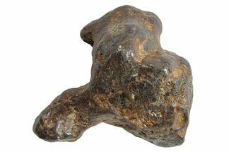 Sericho Pallasite Meteorite ( g) Metal Skeleton #266967