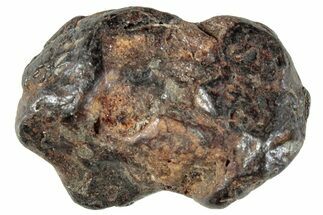 Sericho Pallasite Meteorite ( g) Metal Skeleton #267397