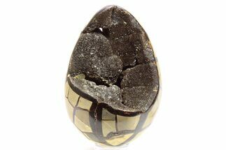 Septarian Dragon Egg Geode - Black Crystals #267341