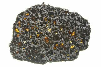 Brahin Pallasite Meteorite ( g) Slice - Belarus #269054