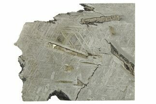 Etched Saint-Aubin Iron Meteorite Slice ( g) - France #269621