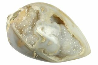 Chalcedony Replaced Gastropod With Sparkly Quartz - India #269830