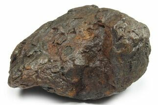 Canyon Diablo Iron Meteorite ( g) - Arizona #270489