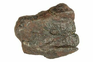 Canyon Diablo Iron Meteorite ( g) - Arizona #270802