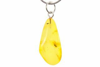 Polished Baltic Amber Pendant (Necklace) - Contains Beetle! #270762