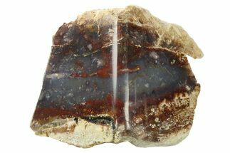 Polished Colorful Agate Section - Java, Indonesia #271522