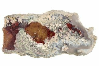 Polished Colorful Moss Agate Slab - Java, Indonesia #271505