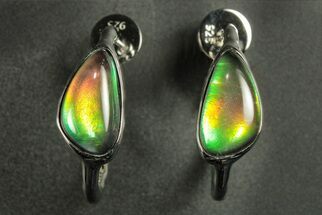 Flashy Ammolite (Fossil Ammonite Shell) Earrings with Sterling Silver #271757