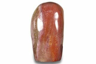 Free-Standing, Polished Petrified Wood - Madagascar #271807