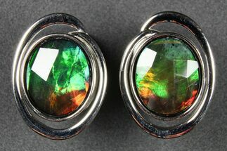 Flashy Ammolite (Fossil Ammonite Shell) Earrings with Sterling Silver #271776