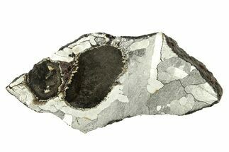 Etched Canyon Diablo Meteorite Slice ( g) - Troilite Inclusion #272266