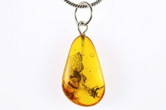 Polished Baltic Amber Pendant (Necklace) - Contains Inclusions! #272315