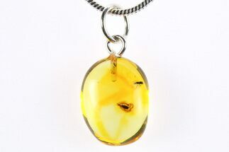 Polished Baltic Amber Pendant (Necklace) - Contains Beetle & Fly! #272337