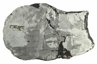 Etched Uruacu Iron Meteorite Slice ( g) - Brazil #272594