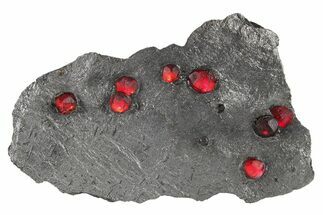 Plate of Ten Red Embers Garnets in Graphite - Massachusetts #272704