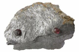 Plate of Two Red Embers Garnets in Graphite - Massachusetts #272729