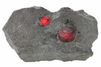 Plate of Two Red Embers Garnets in Graphite - Massachusetts #272755