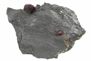 Pyrope-Almandine Garnet (GEMMY red crystals) on Graphite  Red Embers Mine,  Erving, Franklin Co., Massachusetts, USA