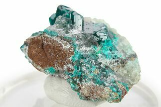 Lustrous Dioptase Crystal Cluster - Republic of the Congo #272927