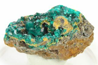 Lustrous Dioptase Crystal Cluster - Congo #272939