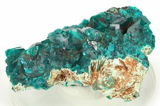 Lustrous Dioptase Crystal Cluster - Republic of the Congo #272948