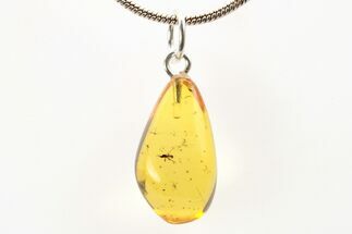 Polished Baltic Amber Pendant (Necklace) - Contains Fly & Flora! #273504