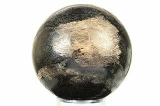 Petrified Wood (Tropical Hardwood) Sphere - Indonesia #274211