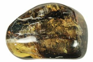 Polished Chiapas Amber ( g) - Mexico #274407