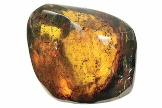 Polished Chiapas Amber ( g) - Mexico #274412
