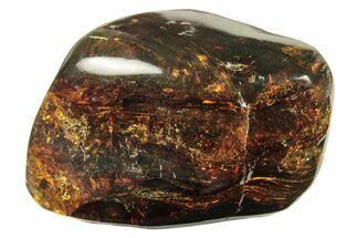 Polished Chiapas Amber ( g) - Mexico #274422