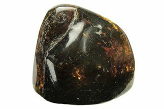 Polished Chiapas Amber ( g) - Mexico #274427
