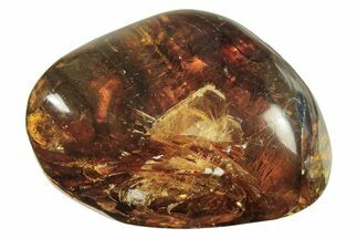 Polished Chiapas Amber ( g) - Mexico #274447