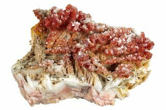 Ruby Red Sparkling Vanadinite on Barite - Morocco #274877