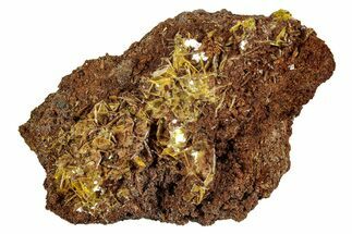 Yellow Wulfenite Crystals - Lucin, Utah #274915