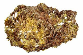 Yellow Wulfenite Crystals - Lucin, Utah #274919