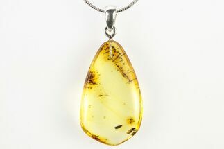 Polished Baltic Amber Pendant (Necklace) - Contains Fly! #275744