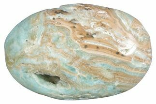 Polished Blue Caribbean Calcite Palm Stone #275578