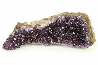 Sparkling Purple Amethyst Crystal Cluster - Uruguay #276149