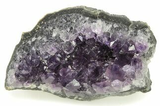 Sparkling Purple Amethyst Crystal Cluster - Uruguay #276199