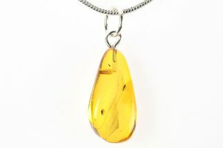 Polished Baltic Amber Pendant (Necklace) - Contains Fly! #275918