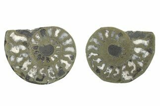 Pyritized Cut Ammonite Fossil Pair - Morocco #276653
